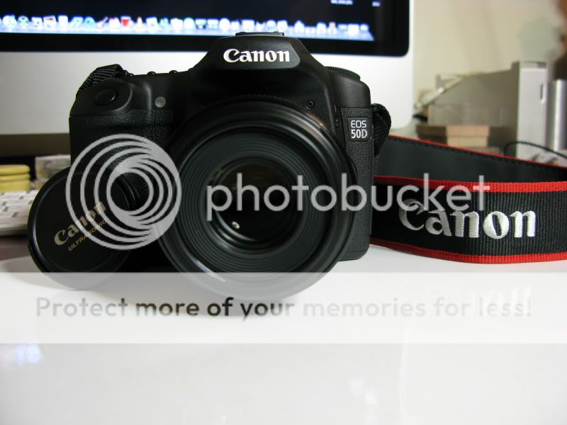 Présentation Canon EOS 50D & Canon EF-S 60mm macro USM IMG_2105